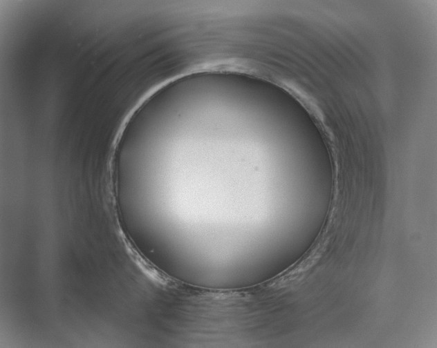 X0000072930816200608041214