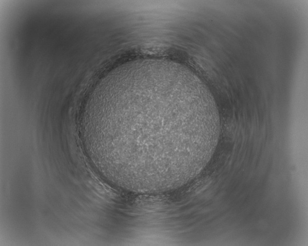 X0000072930817200608041213