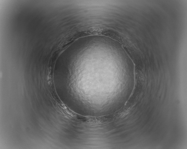 X0000072930818200608041213