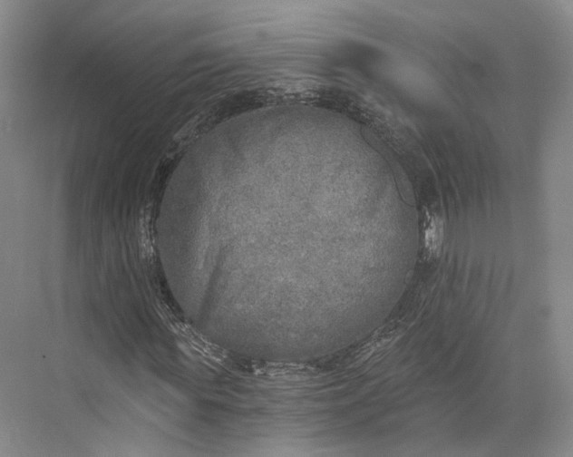 X0000072930819200608041213