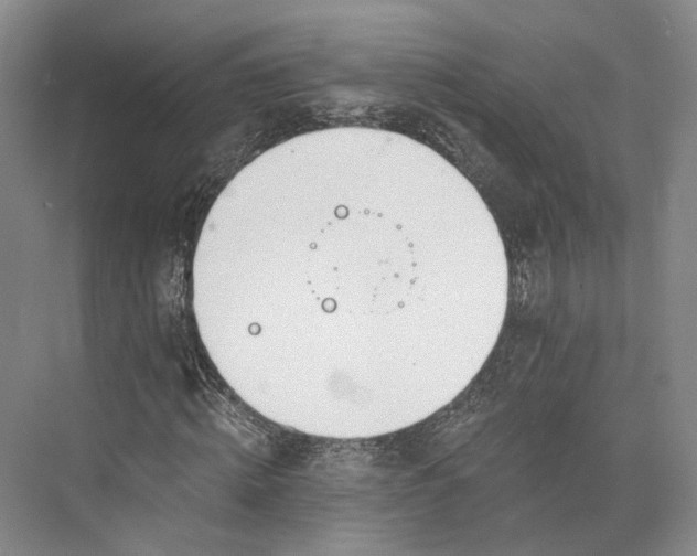 X0000072930820200608041213