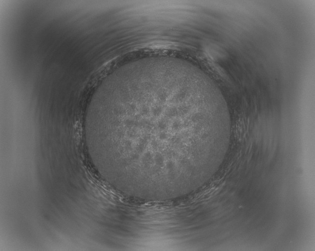 X0000072930821200608041213