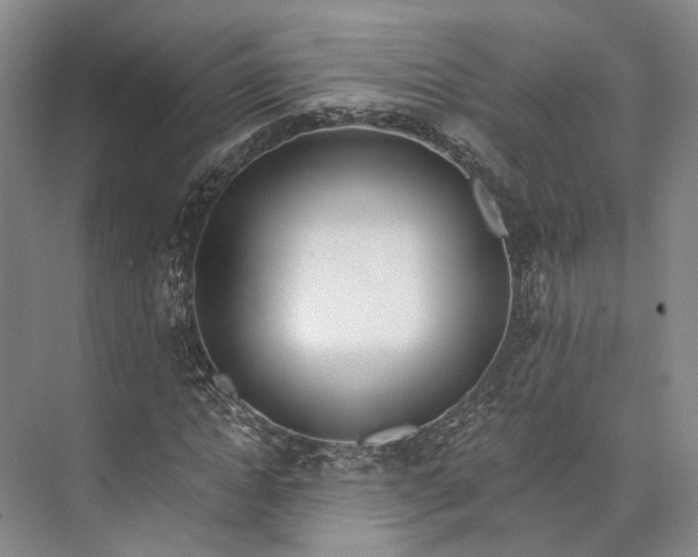 X0000072930822200608041213