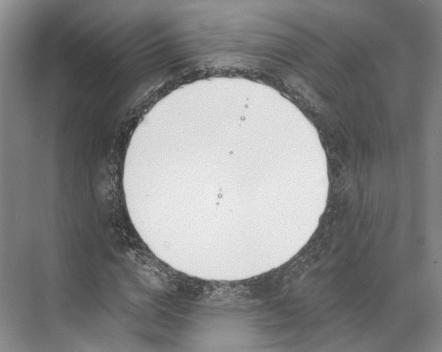 X0000072930824200608041213