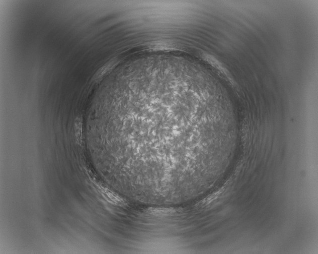 X0000072930825200608041213