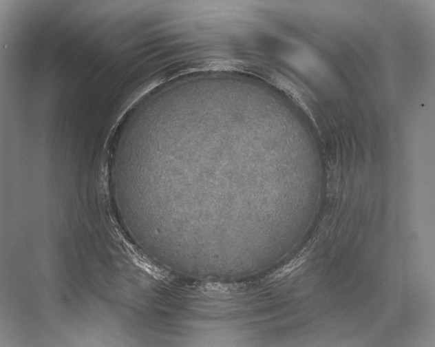 X0000072930827200608041214