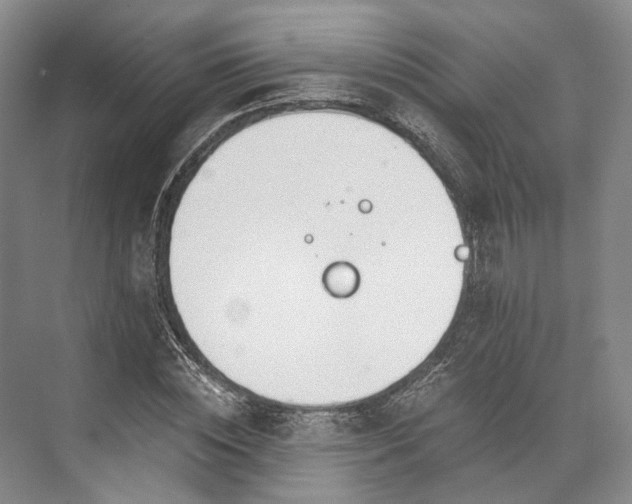 X0000072930828200608041214