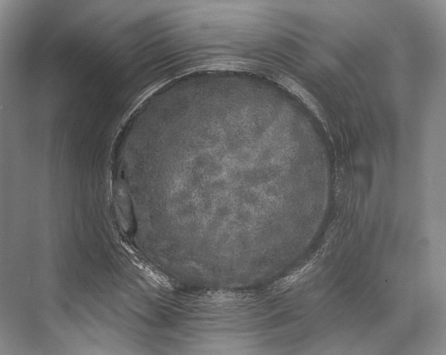 X0000072930829200608041214