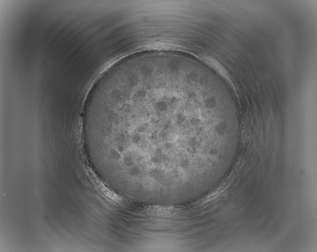 X0000072930831200608041214