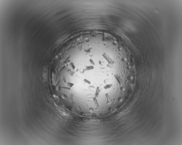 X0000072930833200608041214