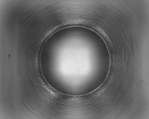 X0000072930834200608041214