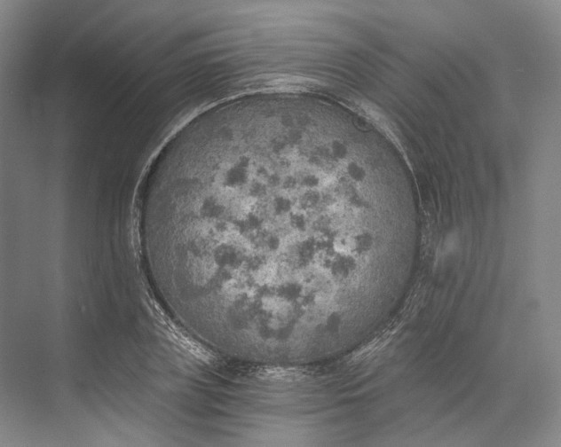 X0000072930835200608041214