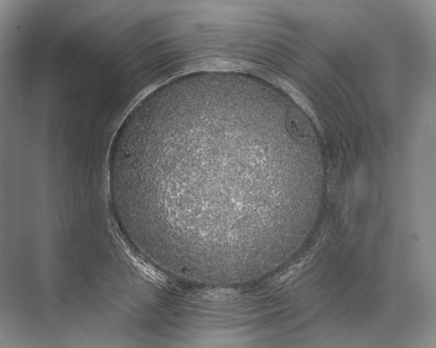 X0000072930837200608041214