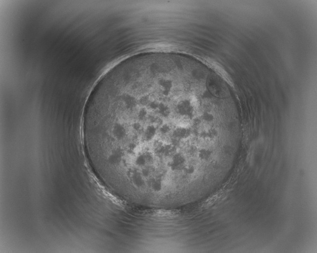 X0000072930839200608041214