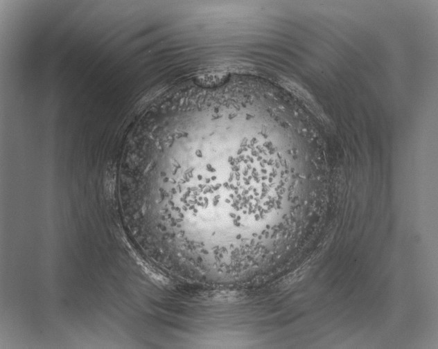 X0000072930841200608041214