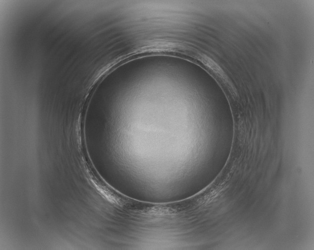 X0000072930842200608041214