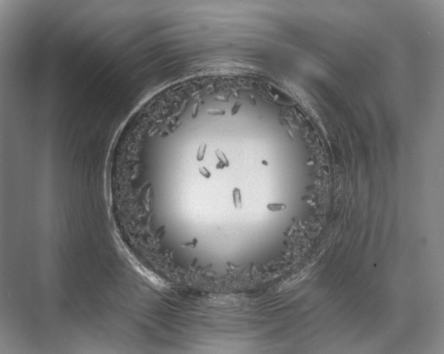 X0000072930843200608041214