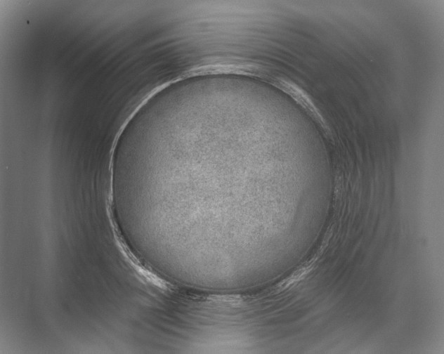 X0000072930844200608041214