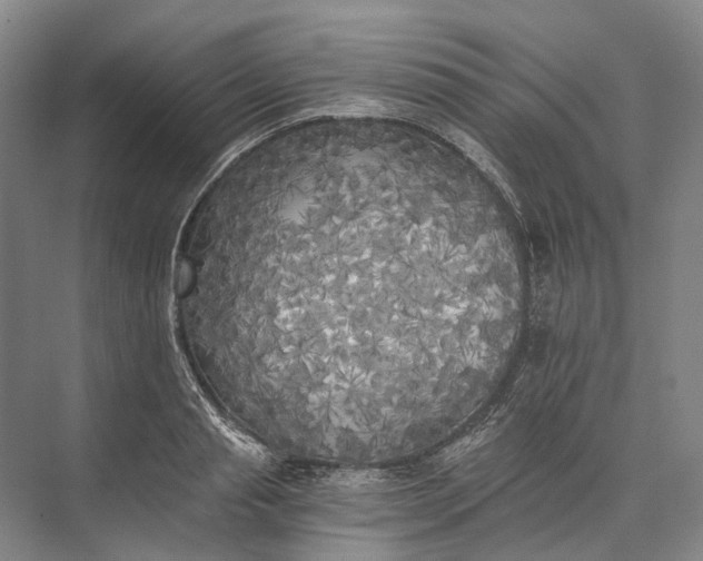 X0000072930845200608041214