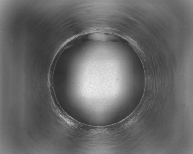 X0000072930846200608041214