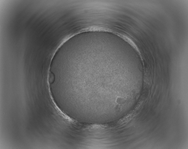 X0000072930847200608041214