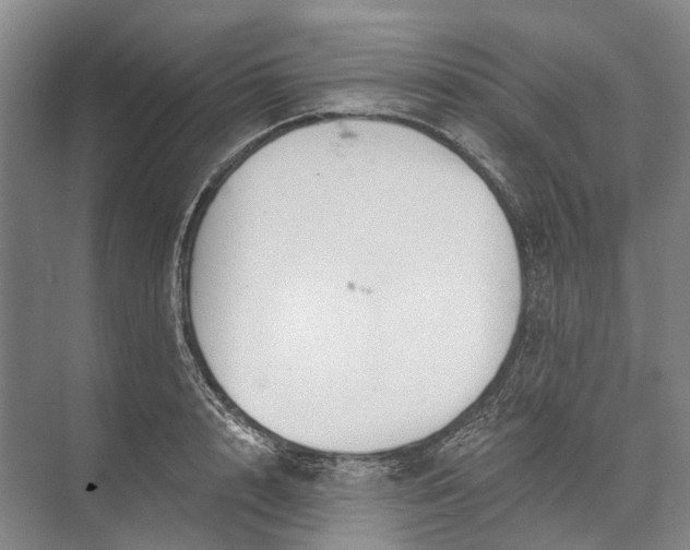 X0000072930848200608041214