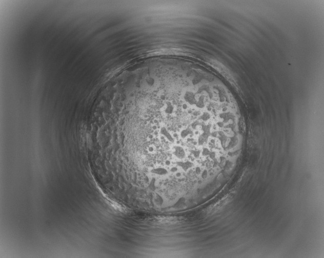 X0000072930849200608041214