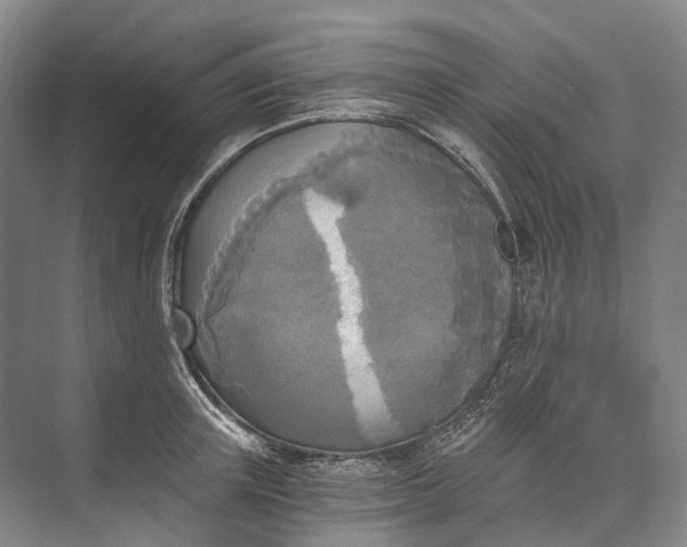 X0000072930851200608041214