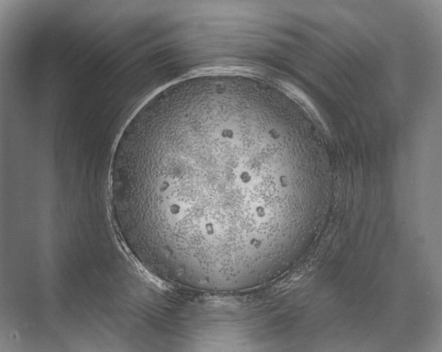 X0000072930852200608041214