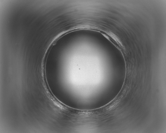 X0000072930854200608041214