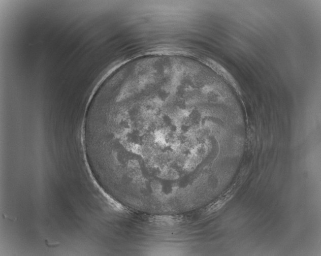 X0000072930855200608041214