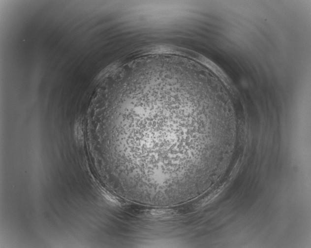 X0000072930857200608041214