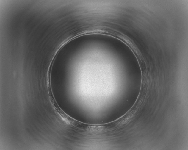 X0000072930858200608041214