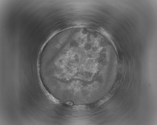 X0000072930859200608041214