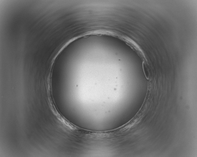 X0000072930860200608041214