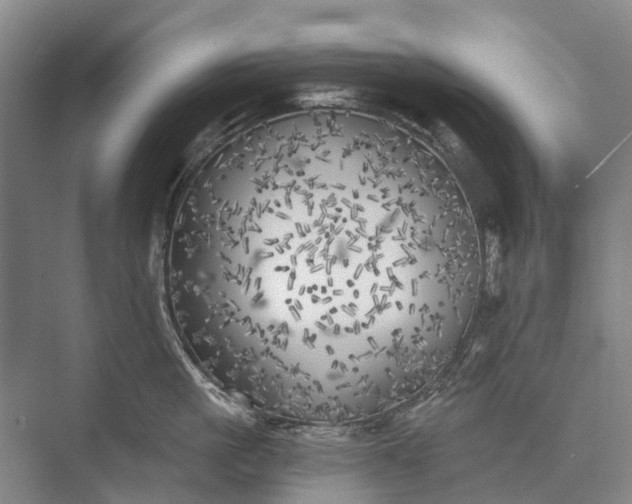 X0000072930861200608041214