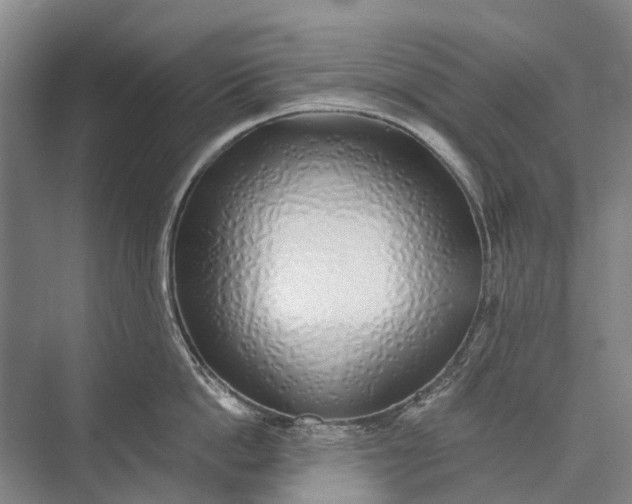 X0000072930862200608041214