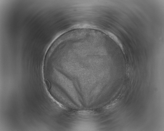 X0000072930863200608041214