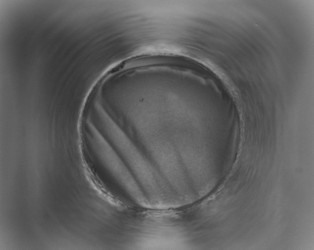 X0000072930864200608041214