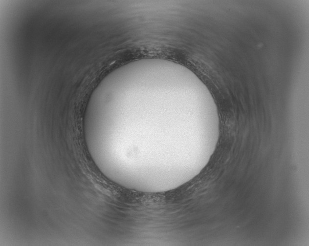 X0000072930865200608041213