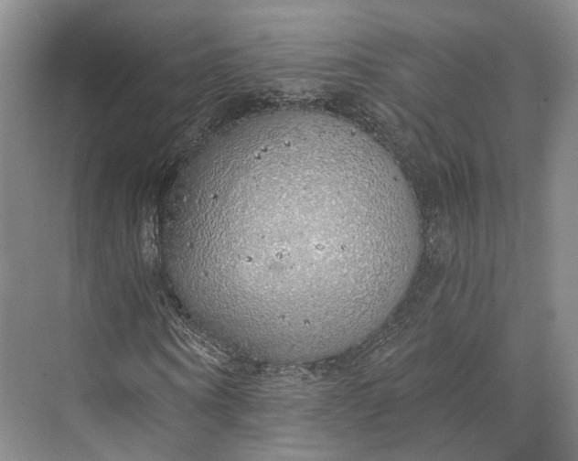 X0000072930866200608041213