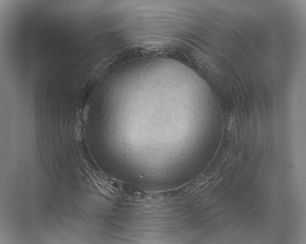 X0000072930868200608041213