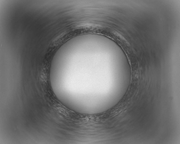 X0000072930869200608041213