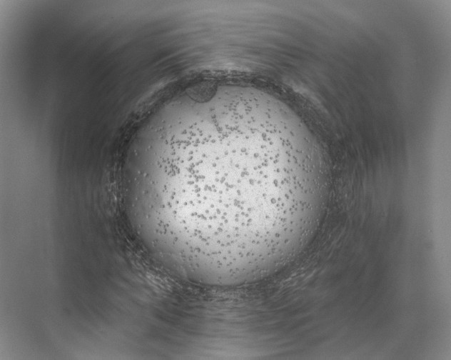 X0000072930870200608041213