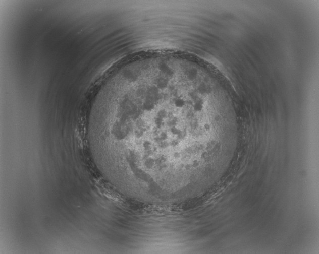 X0000072930871200608041213