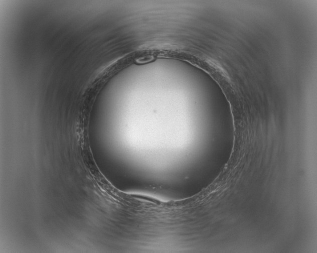 X0000072930872200608041213