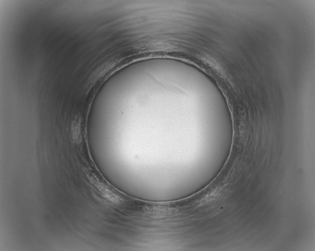 X0000072930873200608041213