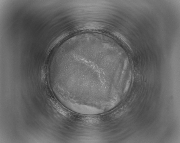 X0000072930874200608041213