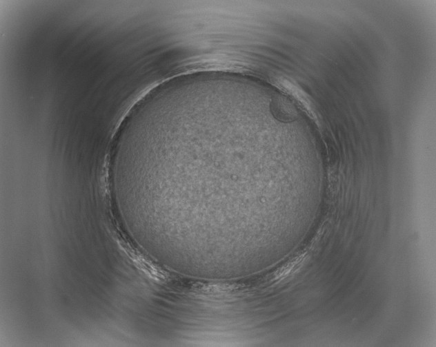 X0000072930875200608041213