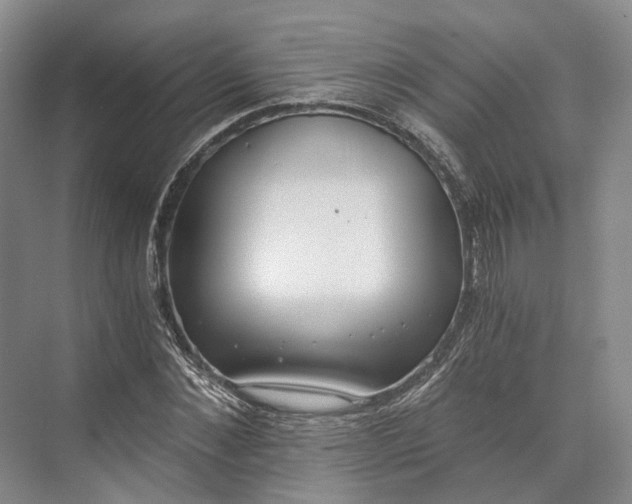 X0000072930876200608041213